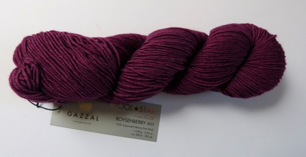 Wool Star Hand Painted Gazzal 100g, Fb. 3825 Boysenberry