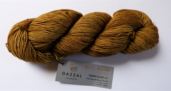 Wool Star Hand Painted Gazzal 100g, Fb. 3811 Tawny Olive